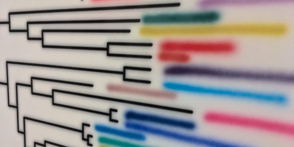 image of a dendrogram